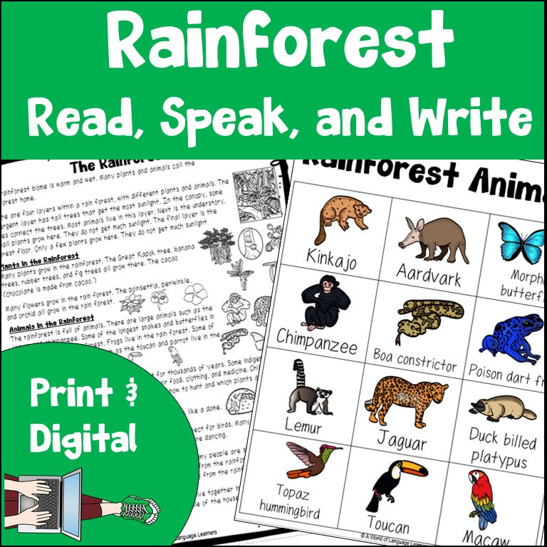 Rainforest Reading Passage
