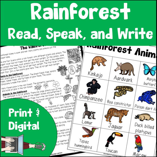 Rainforest Reading Passage
