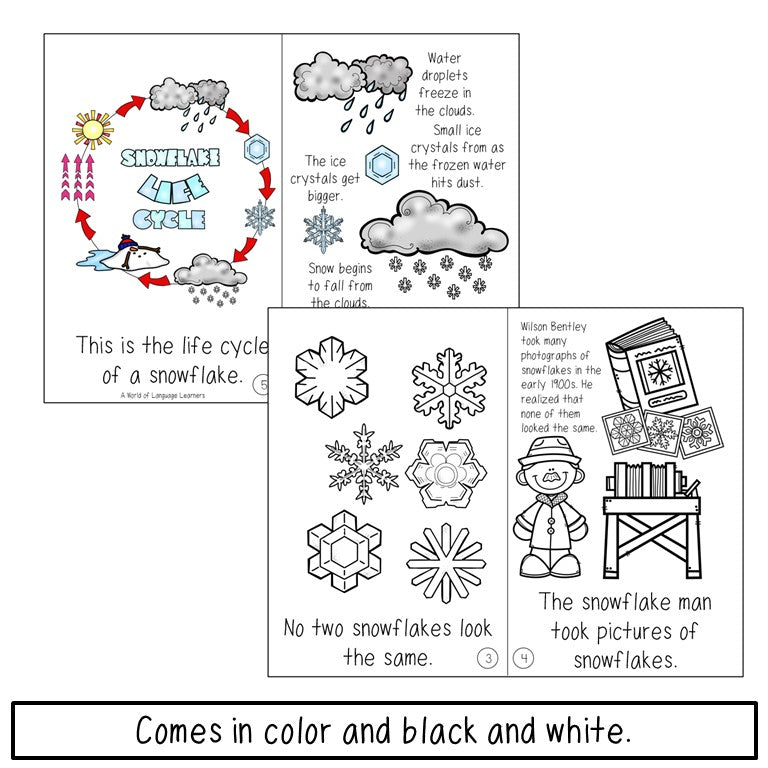 Snow Book Emergent Reader and Decodable | Print and Digital