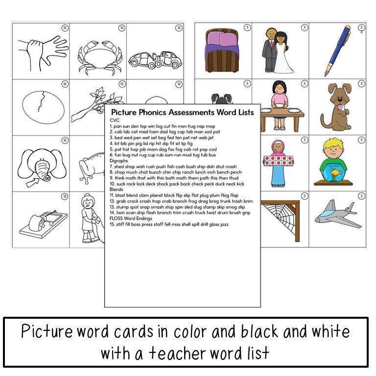 Short Vowel Picture Phonics Assessments