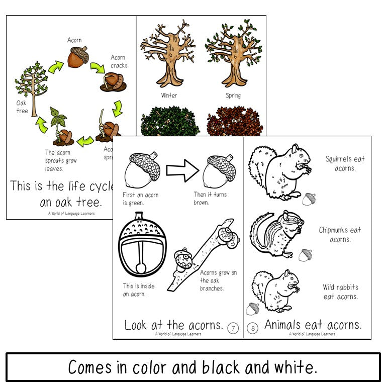 Oak Tree Emergent Reader and Decodable Book | Print and Digital