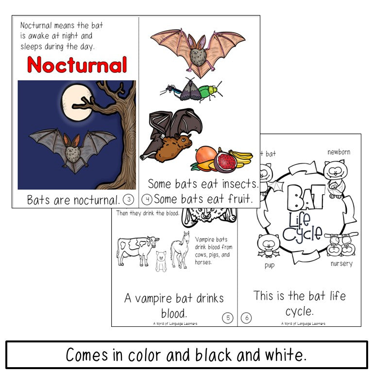 Bat Book Print and Digital | Decodable & Emergent Reader