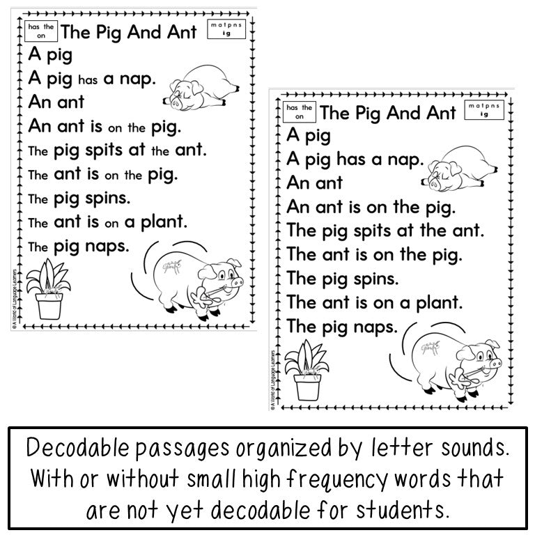 Short Vowel Decodable Texts Newcomer Phonics | Reading Passages with Questions