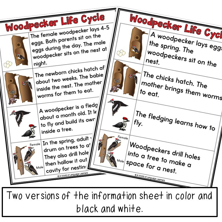 Spring Animal Life Cycle Reading, Speaking, Writing