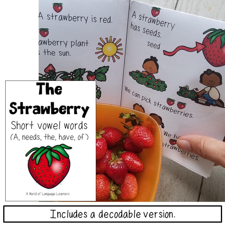 Strawberries Print and Digital | Emergent Reader and Decodable