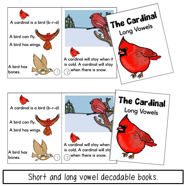 Cardinal Bird Book - Decodable & Informational Text - Print and Digital