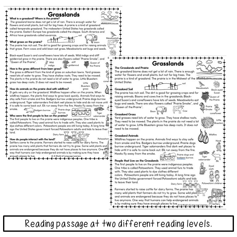 Grasslands Reading Passage - Read Speak Write