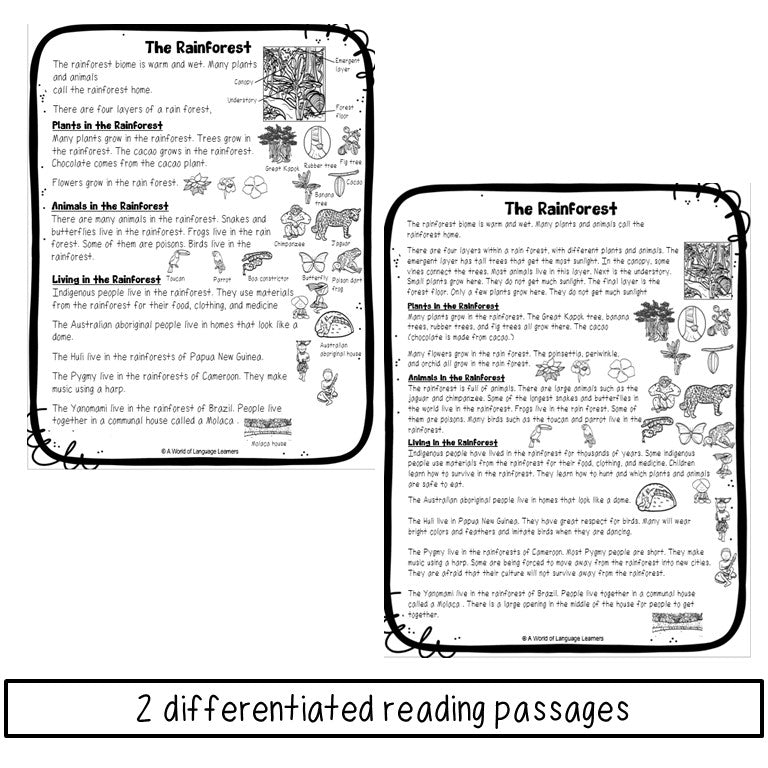 Rainforest Reading Passage