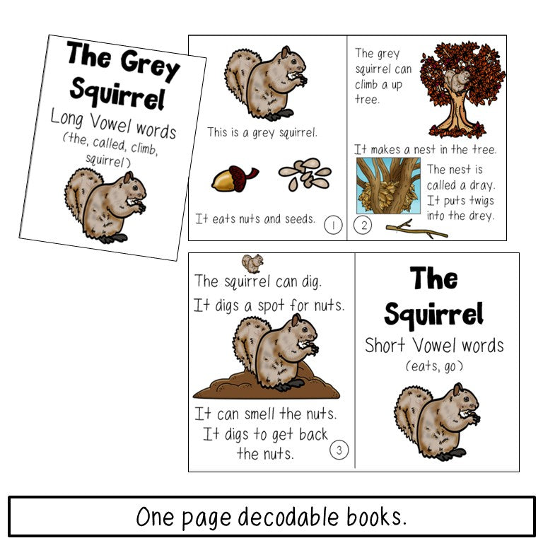 Squirrel Book Print and Digital | Emergent Reader and Decodable