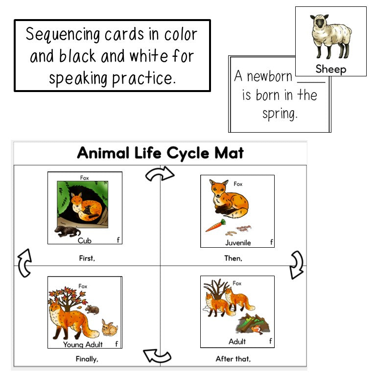 Spring Animal Life Cycle Reading, Speaking, Writing