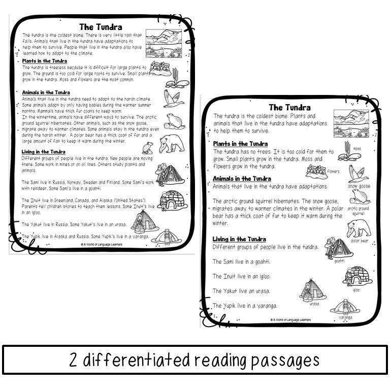 Tundra Reading Passage