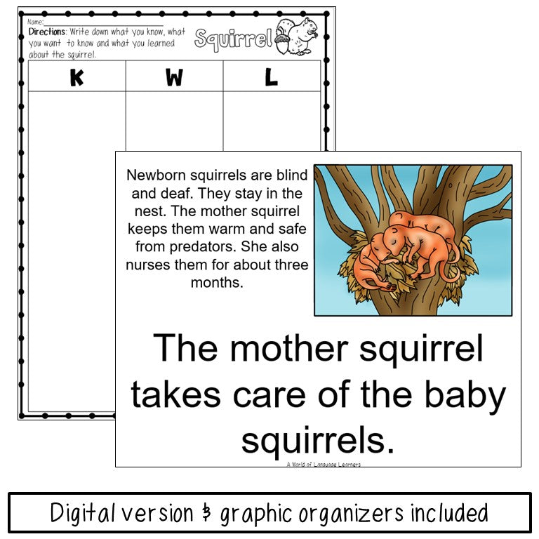 Squirrel Book Print and Digital | Emergent Reader and Decodable