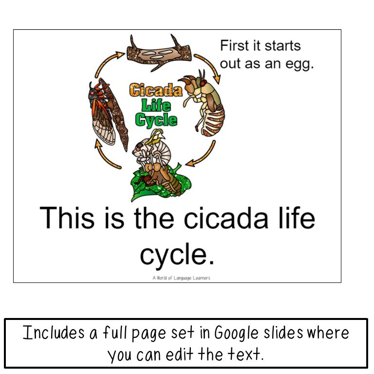 Cicada Book Print and Digital | Decodable & Emergent Reader