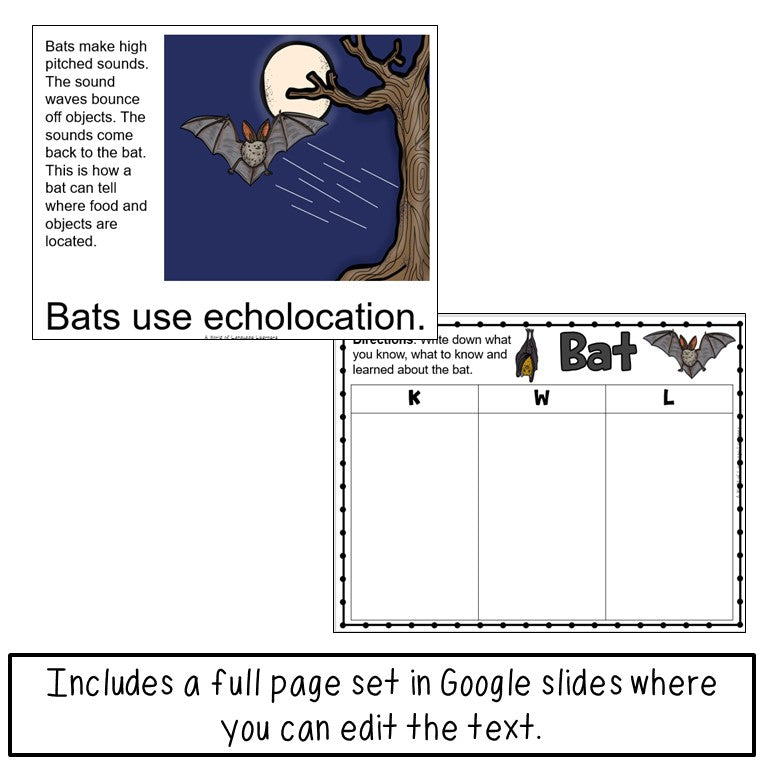Bat Book Print and Digital | Decodable & Emergent Reader