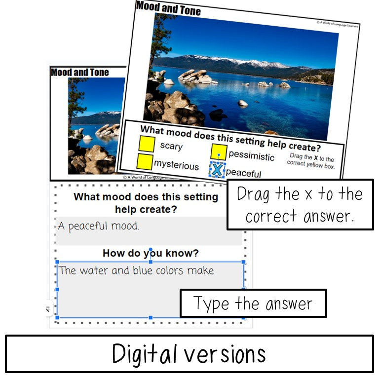 Mood & Tone Task Cards - Reading Skills Practice Activity