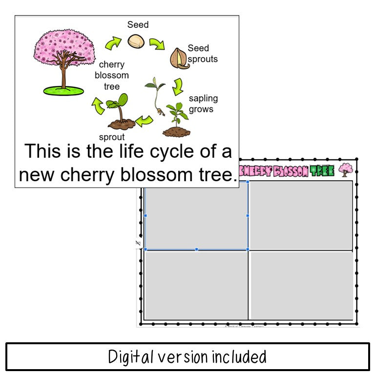 Cherry Blossom Tree Emergent Reader and Decodable Book