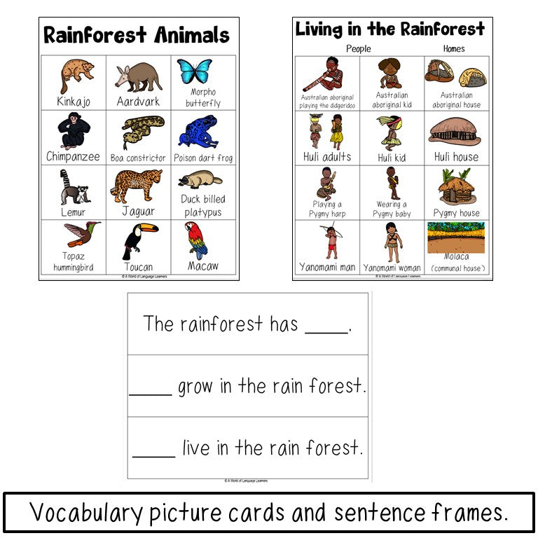 Rainforest Reading Passage