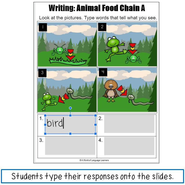 ESL Writing Assessments First Grade