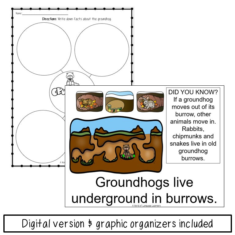 Groundhog Book Print and Digital | Emergent Reader and Decodable