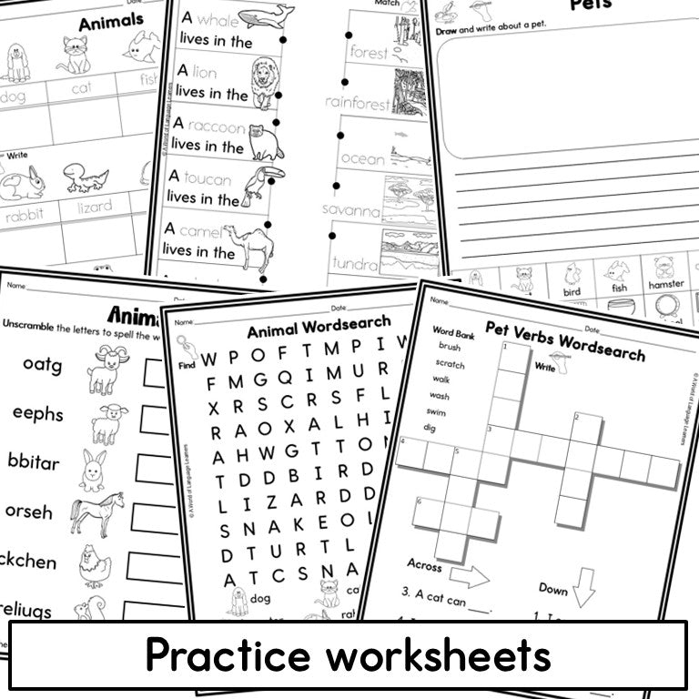 Newcomer ESL Vocabulary Notebook- Animals- Nouns, Verbs, Adjectives