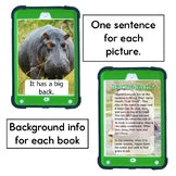 Short Vowel Decodables Savanna Animal Books - Nonfiction Print and Digital