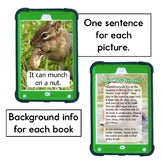 Short Vowel Decodables Forest Animal Books - Nonfiction Print and Digital