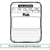 Summer Directed Drawing and Writing