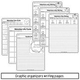 Sequencing and Retelling Bundle | Read, Speak, Write Practice Activities