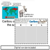 Caribou Information Book and Decodable | Reindeer Print and Digital