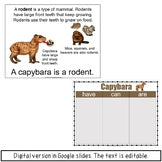 Capybara Information Book | Emergent Reader and Decodable | Print and Digital