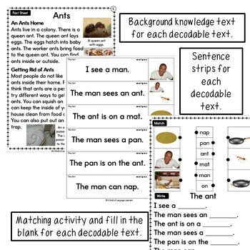 Decodable Texts Newcomer Phonics Photos
