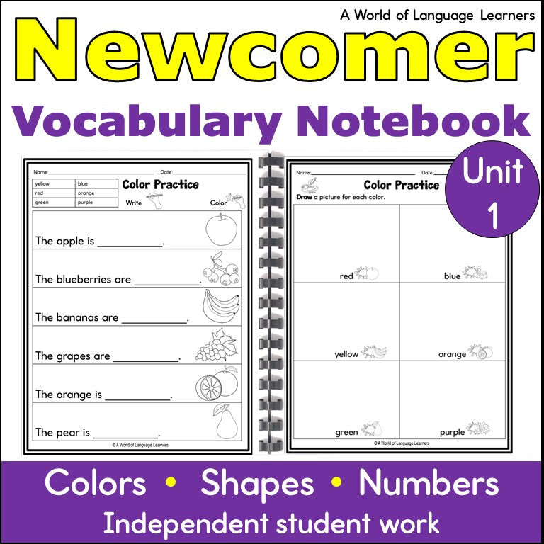 Newcomer ESL Vocabulary Workbook - Colors, Shapes, Numbers Practice