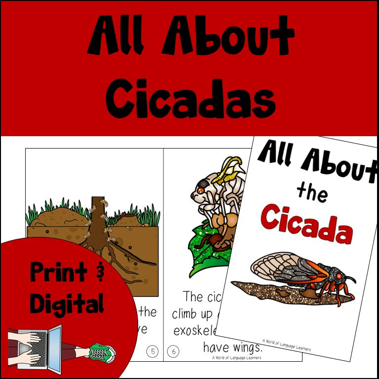 Cicada Book Print and Digital | Decodable & Emergent Reader