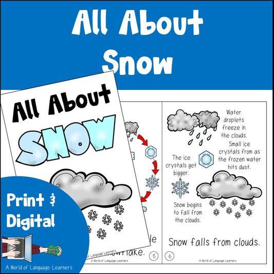 Snow Book Emergent Reader and Decodable | Print and Digital