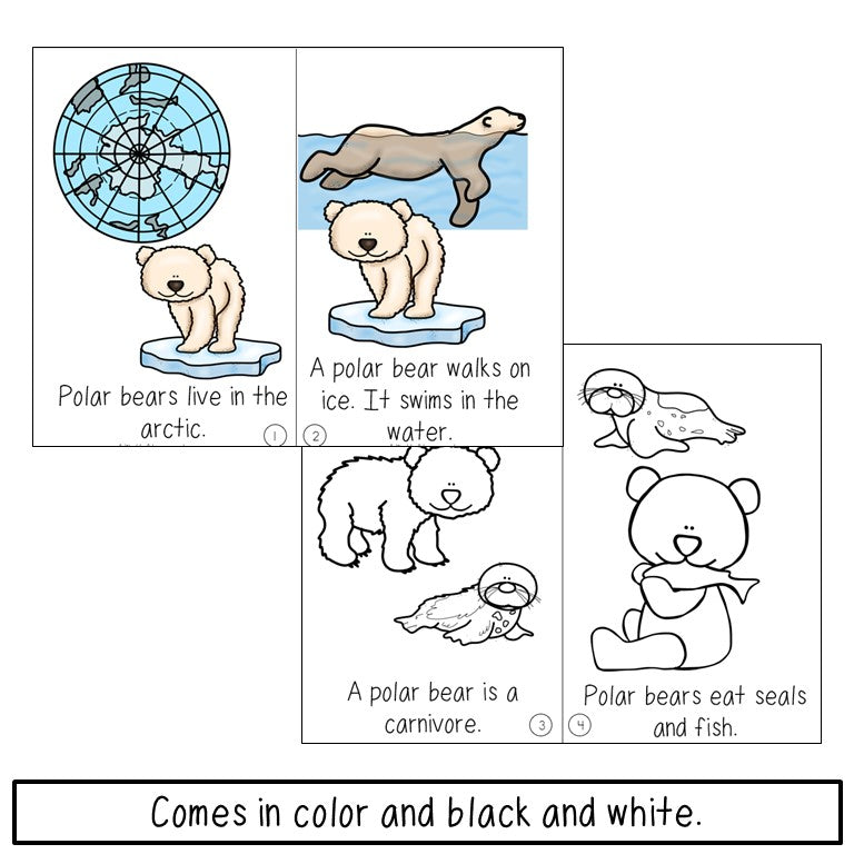 Polar Bear Book Emergent Reader and Decodable | Print and Digital