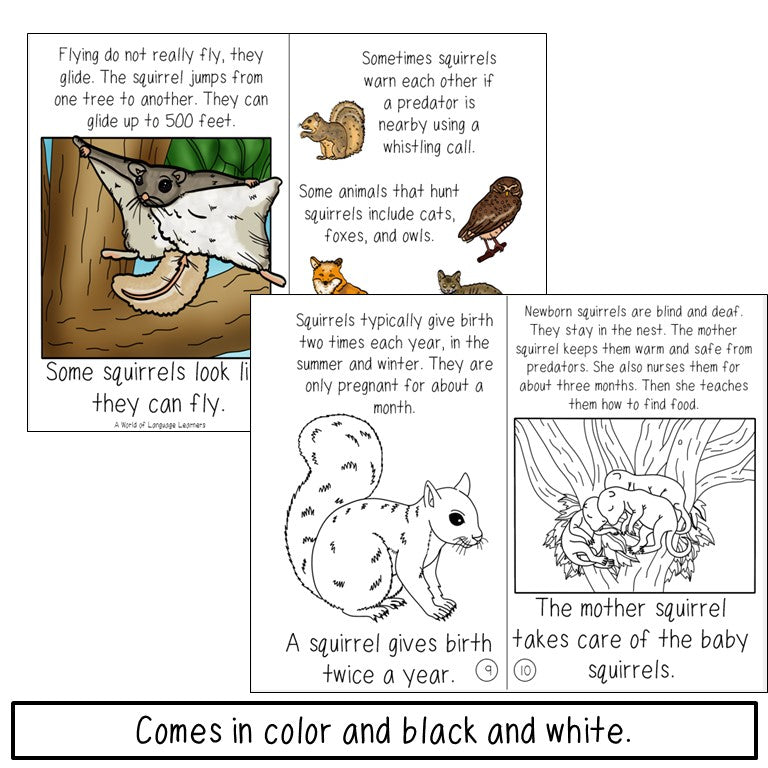 Squirrel Book Print and Digital | Emergent Reader and Decodable