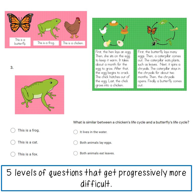 ESL Reading Assessments Second and Third Grade Print and Digital