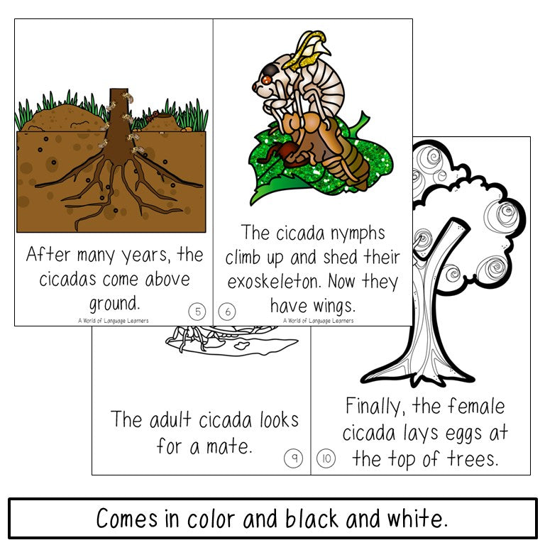 Cicada Book Print and Digital | Decodable & Emergent Reader