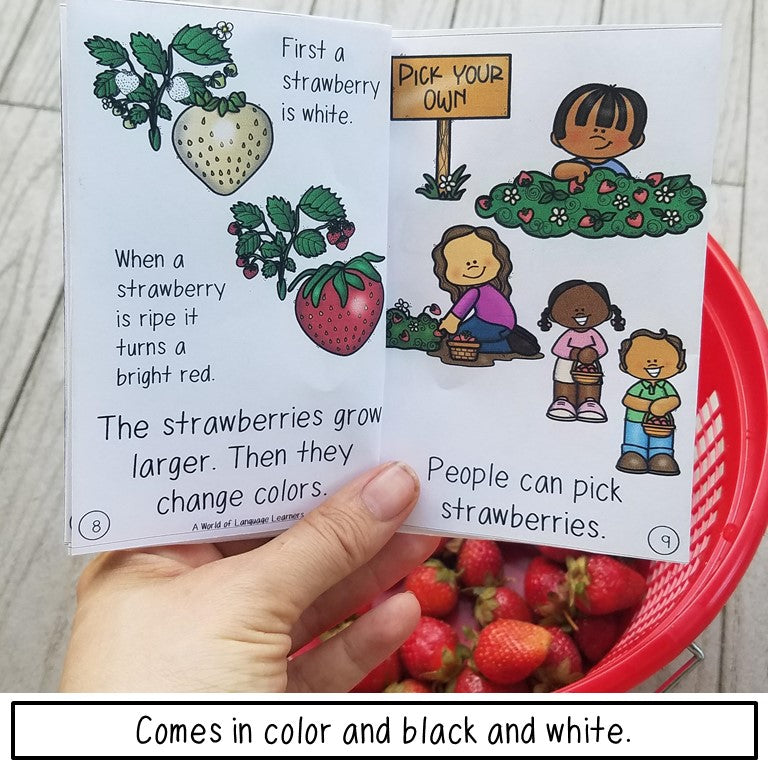 Strawberries Print and Digital | Emergent Reader and Decodable