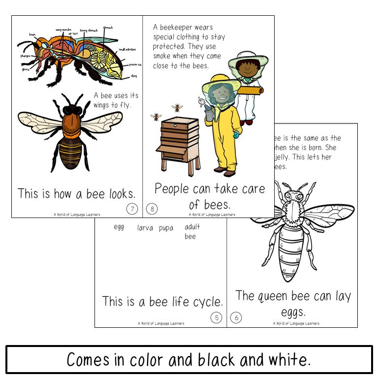 Honey Bee Book Print and Digital | Emergent Reader and Decodable