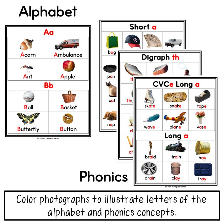 ELD Picture Dictionary | ESL Newcomer Vocabulary Print and Digital