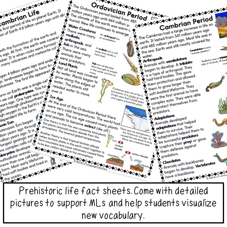 Prehistoric Life Fact Sheets & Fold Books Bundle