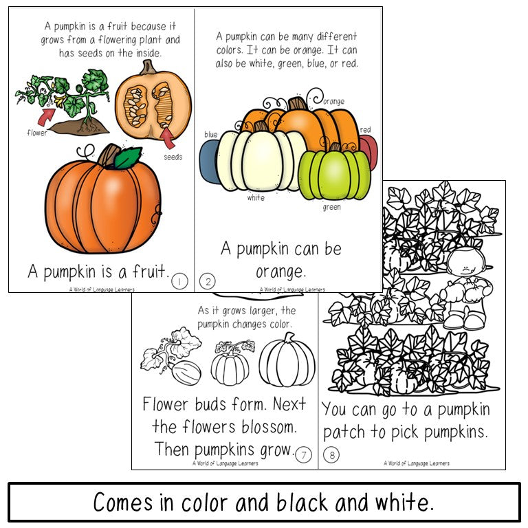 Pumpkin Emergent Reader and Decodable Book | Print and Digital