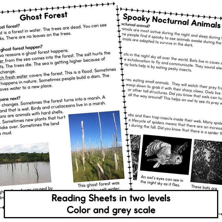 Ghost Forest and Spooky Nocturnal Animals reading passages at two levels, in color and grayscale