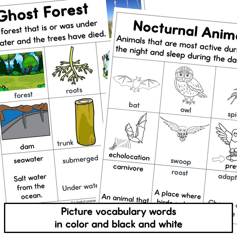 Picture vocabulary pages for ghost forests and nocturnal animals in color and black and white