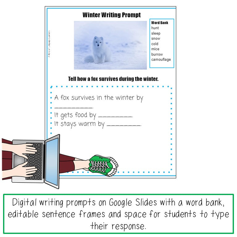 Winter Picture Writing Prompt Task Cards