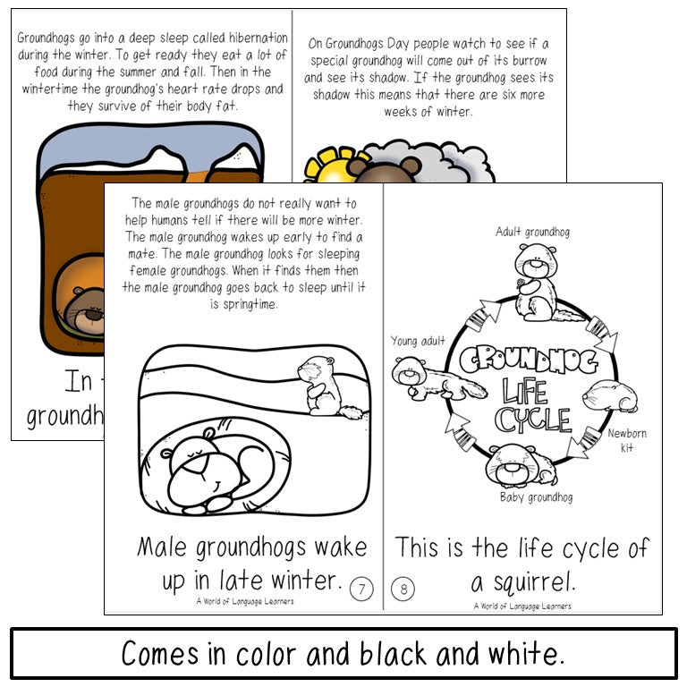 Groundhog Book Print and Digital | Emergent Reader and Decodable
