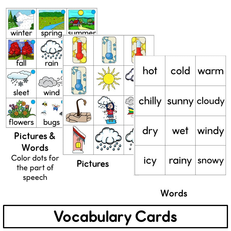 Newcomer ESL Vocabulary Cards- Seasons, Weather, Calendar