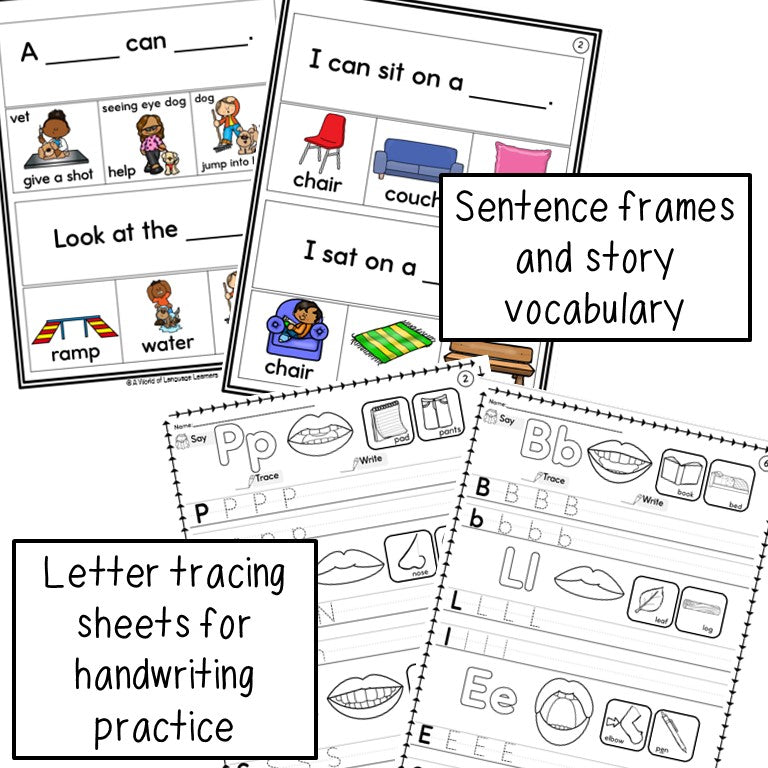 Newcomer Phonics Lessons K-2 | Practice Activities and Decodables
