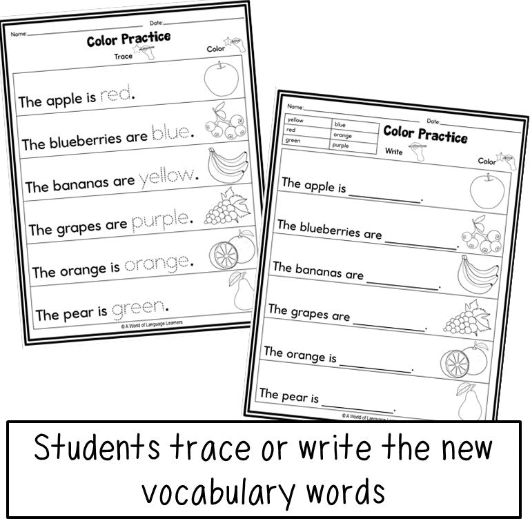 Newcomer ESL Vocabulary Workbook - Colors, Shapes, Numbers Practice